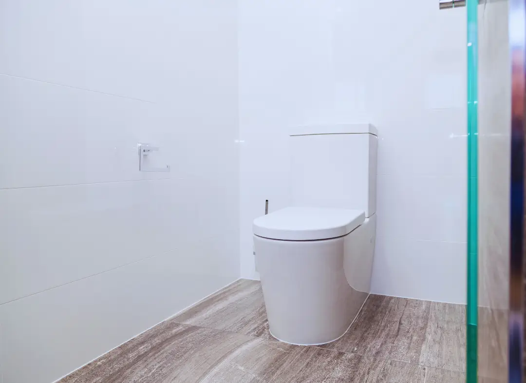 Remplacement de wc Chanceaux-sur-Choisille